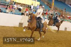 15YN_17623 thumbnail