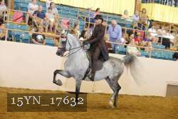 15YN_17632 thumbnail