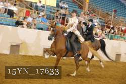 15YN_17633 thumbnail