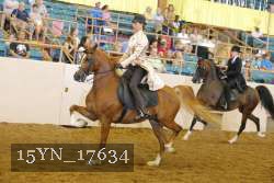 15YN_17634 thumbnail