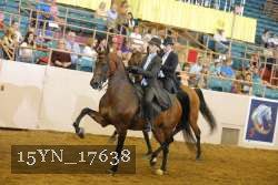 15YN_17638 thumbnail