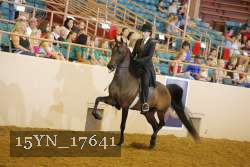 15YN_17641 thumbnail