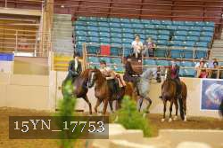 15YN_17753 thumbnail