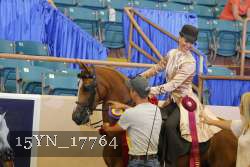 15YN_17764 thumbnail
