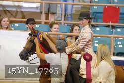 15YN_17765 thumbnail