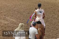 15YN_17771 thumbnail
