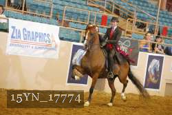 15YN_17774 thumbnail