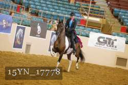 15YN_17778 thumbnail