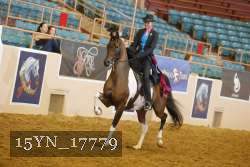 15YN_17779 thumbnail