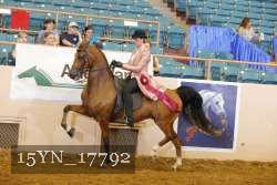 15YN_17792 thumbnail