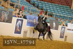 15YN_17794 thumbnail