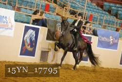15YN_17795 thumbnail