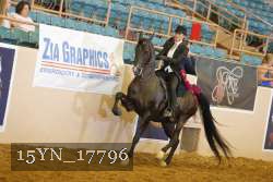 15YN_17796 thumbnail