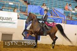 15YN_17803 thumbnail