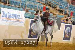 15YN_17807 thumbnail