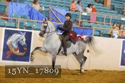 15YN_17809 thumbnail