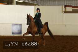 15YN_06488 thumbnail