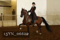 15YN_06622 thumbnail