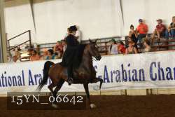 15YN_06642 thumbnail