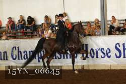 15YN_06645 thumbnail
