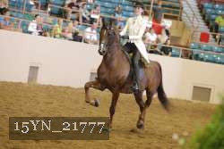 15YN_21777 thumbnail