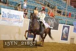 15YN_21837 thumbnail