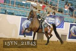 15YN_21843 thumbnail