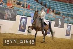15YN_21845 thumbnail