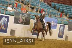 15YN_21851 thumbnail