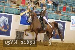 15YN_21852 thumbnail