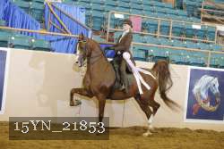 15YN_21853 thumbnail