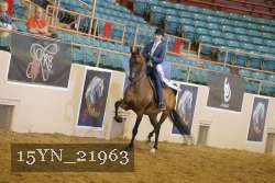 15YN_21963 thumbnail