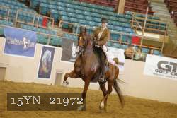 15YN_21972 thumbnail
