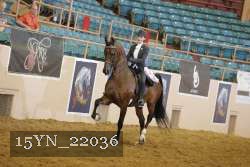 15YN_22036 thumbnail