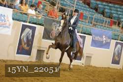 15YN_22051 thumbnail