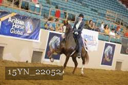 15YN_22052 thumbnail
