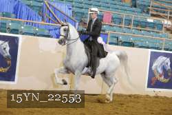 15YN_22553 thumbnail