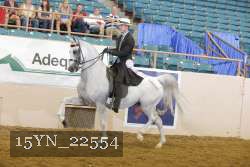 15YN_22554 thumbnail