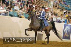 15YN_32384 thumbnail