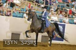 15YN_32385 thumbnail