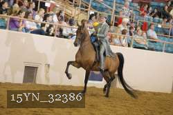 15YN_32386 thumbnail