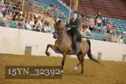 15YN_32392 thumbnail