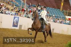 15YN_32394 thumbnail