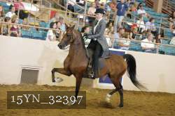 15YN_32397 thumbnail