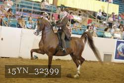 15YN_32399 thumbnail