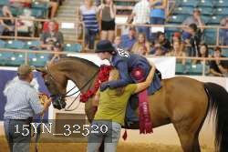 15YN_32520 thumbnail