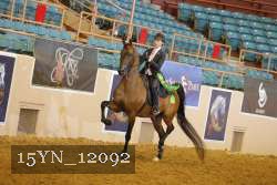 15YN_12092 thumbnail