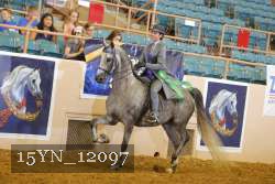 15YN_12097 thumbnail