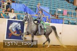 15YN_12098 thumbnail