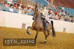15YN_12102 thumbnail